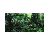 AKDJGFP Fond Aquarium Affiche de Fond d'aquarium, décoration Murale d'aquarium, aménagement paysager, forêt Tropicale, Terrarium, décorations d'aquarium(122 x 46cm)