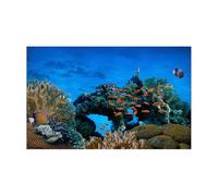 AKDJGFP Fond Aquarium Autocollant de Fond d'aquarium, Affiche de Corail sous-Marin Bleu, décoration, Papier Peint Autocollant, arrière-Plan(30x40cm)