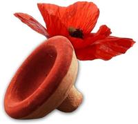 Aker Fassi Maroc Rouge à Lèvres & Blush Marocain - Cosmétique Naturelle, Pétales de Pavot & Grenade, Application Simple, Séchage Rapide, Héritage Marocain - Biodegradable et entièrement Naturelle