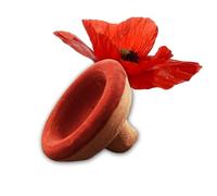 Aker Fassi Maroc Rouge à Lèvres & Blush Marocain - Cosmétique Naturelle, Pétales de Pavot & Grenade, Application Simple, Séchage Rapide, Héritage Marocain - Biodegradable et entièrement Naturelle