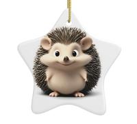 AKGFFDS Joli petit hérisson imprimé Noël en céramique pendentif étoile décoration festive et créative facile à accrocher