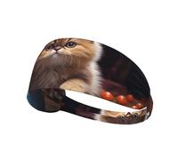 AKGFFDS Lively Bandeau élastique pour homme et femme Motif chat persan Séchage rapide
