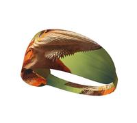 AKGFFDS Lively Lézards Bandeau élastique élastique pour homme et femme Séchage rapide