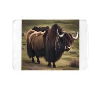 AKGFFDS Paillasson 40,6 x 61 cm avec impression Mighty Highland Yak absorbant l'eau, antidérapant, pour portes d'entrée, et salles de bains