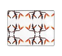 AKGFFDS Tapis de sol antidérapant 160 x 121,9 cm Motif oiseau de paradis coloré bonne absorption de l'eau adapté pour la cuisine, la salle de bain et le salon