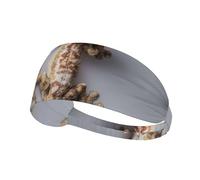 AKGFFDS Tiger Climbing the Wall Printing Bandeau élastique Exercice Sports Head Tie for Men and Women Soft Quick Dry