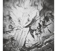 Aki Onda - in The Depth of Illusion: A Soundtrack for Nervous Magic Lantern