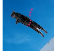 Akiko Yano - Ongakudou [Import]