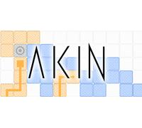 Akin (PC)