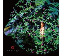 Akino Arai - Sorano Sphere