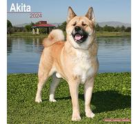 Akita Calendar 2024 Square Dog Breed Wall Calendar - 16 Month