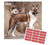 Akita Calendar 2026 Calendrier mural carré avec autocollants d'organisation