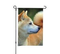Akita Inu Bokeh Animaux Chiens Akita Inu, 12 x 18 pouces Double Face Été Jardin Jardin Drapeau Extérieur