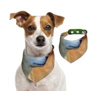 Akita Inu Bokeh Animaux Chiens Akita Inu,Bandanas pour Chien, écharpe en Coton, Bavoirs réglables pour Animaux de Compagnie,S