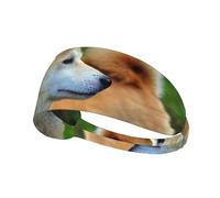 Akita Inu Bokeh Animaux Chiens Akita Inu,Bandeau de Sport Unisexe, Bandeau élastique Multi-usages pour Cheveux