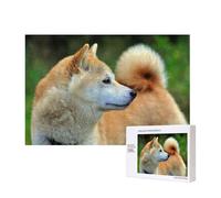 Akita Inu Bokeh Animaux Chiens Akita Inu,Puzzle Familial en Bois de 300 pièces pour Adultes et Adolescents, décoration d'intérieur