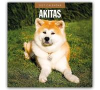 Akitas - Akita 2027 - 16-Monatskalender: Original Red Robin Publishing Ltd-Kalender [Mehrsprachig] [Kalender]