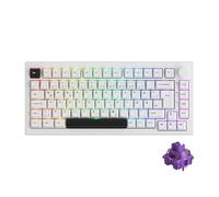 Akko 5075B Plus Gasket Mechanical Keyboard, 3-Mode, ISO-DE/UK/Nordic Layout, 75% RGB Gaming Keyboard, Hot-Swappable, PBT Keycaps, Via Programmable (Noir sur Blanc, V3 Purple)