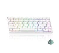 Akko Clavier Gaming TAC75 HE 8 kHz Rapid Trigger, Clavier Filaire à Effet Hall 75% avec commutateur magnétique, actionnement réglable, Snap Tap, ARGB (Blanc translucide, commutateur AstroAim)