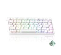 Akko TAC75 HE Clavier 75% Hall Effect Switch Magnétique RT0.005mm Filaire | Touches PBT Blanches, Taux 8K Hz, Layout US, ARGB, Activation Réglable, Snap Tap FPS Gaming/Travail
