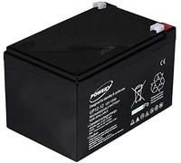 akku-net Batterie au plomb et gel pour Peg Perego/alimentation de secours (USV) 12 V 12 Ah (identique à 14 Ah), 12 V, acide plomb