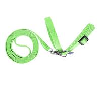 Aklosipy Harnais D'oiseau avec Laisse pour Perroquets - Corde en Nylon - Idéal pour Vol en Plein Et Sécurité Maximale (Green)