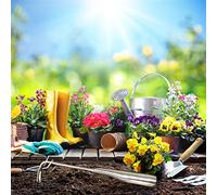 AKLOSIPY Outil d'extraction Manuel en Acier Inoxydable, Désherbeur en Forme de V avec Poignée Ergonomique pour Un Enlèvement Efficace du Jardin et Un Creusement du Sol (AKLOSIPYw7c0ej8uzx-10340583)