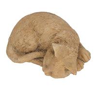 AKLOSIPY Pierre de Jardin Commémorative Résistante aux Intempéries pour Animaux de Compagnie - Extérieur en Résine Durable pour Les Amoureux des Chats, Charmant pour Se Souvenir des Animaux Perdus