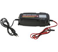 AKO Chargeur de batterie pour batteries humides 12V et batteries Premium AGM