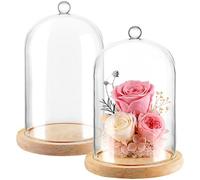AKOLAFE 2 Pièces Cloche en Verre, Cloche Verre avec Socle Bois 12 x 18 cm, Dôme Transparent avec Poignée pour Bougies, Figurines, Bijoux, Fleurs Séchées et Décoration Table