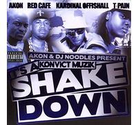 Akon - It's a Shakedown