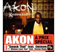 Akon - Konvicted