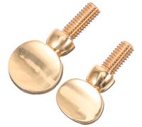 AKOOSY 2 pièces Vis de Serrage Dorée pour Cou de Saxophone Cuivre Vis de Fixation Légère pour Sax Alto Soprano Ténor Accessoires Ajustement Faciles à Installer