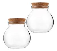 AKOOSY 2pcs Bouteilles Terrarium Sphériques en Verre Bouchon en Liège, Surface Lisse et Transparente, Décoration Micro-Paysage pour Plantes de Mousse