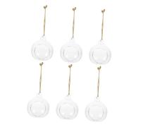 AKOOSY 6 Pièces Vase Suspendu Hydroponique Transparent Boule pour Plantes Micro Décoration Murale et Bougeoir