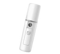 AKOOSY Humidificateur Portable 20ml à Spray Nano Design Simple Blanc en Abs Mini Pulvérisateur Hydratant Peau USB pour Chambre D'animaux ou Intérieur