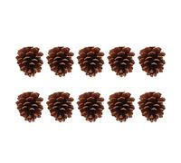 Akozon 10pcs Pine Cone Bird Mâcher des Ornements pour Perruches, Calopacaces, Conures, Pinsons, Perruches et AWS