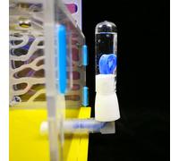 Akozon Akozon de Fourmis en Acrylique T-Design pour Observer Le Comportement des Fourmis - Nid de de Ferme avec Zone d'alimentation, Idéal pour la Décoration Intérieure et Une Utilisation éducative