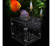 Akozon Boîte d'isolation d'aquarium Transparente pour Poissons Malades, Réservoir d'isolation d'écloserie avec Séparateurs - Idéal pour Les Soins et l'élevage des Animaux de