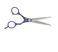 Akozon Ciseaux de Coupe de Cheveux Professionnels Cisseurs de Coiffure - Outil de Coiffure à Dents Plates pour la Maison et l'utilisation du Salon - Acier Inoxydable, Design Ergonomique, des Lames