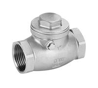 Akozon Clapet Anti-Retour, DN25 Clapet Anti-Retour en Acier Inoxydable Filetage Femelle à Sens Unique WOG 200PSI pour Eau Vapeur