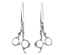 Akozon Ensemble de Ciseaux de Coupe et d'amincissement Professionnels - Cisaillement de Coiffure de Coiffeur pour la Maison et le Salon Utilisation # 03 (Coupes à plat en argent)