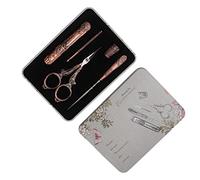 Akozon Kit de Ciseaux à Broder Rétro Européen Vintage - Ciseaux à Coudre en Acier Inoxydable avec Poinçon, Aiguille, dé à Coudre et Boîte en Fer pour Bricolage et Point de Croix