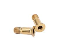 Akozon M5 Vis de Roue de Dérailleur Arrière Vis de Roue de Dérailleur Arrière en Alliage Poulie de VTT de Route