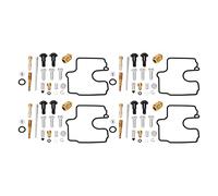 Akozon Outil de Réparation de Carburateur, 76 Pièces Kit de Réparation de Carburateur de Moto Kit de Reconstruction de Carburateur de Moto pour YZF R1 1998-2001