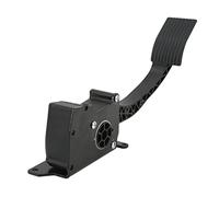 Akozon Pédale d'accélérateur 4014042 Noire de Remplacement 570 2015-2016 - Commande d'accélérateur Automobile