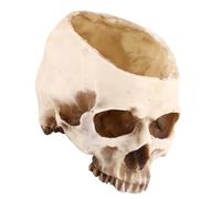 Akozon Pot de Fleurs en résine - Motif tête de Mort - pour Halloween