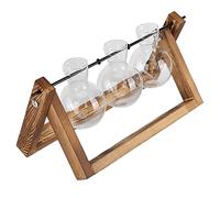Akozon Terrarium de Plantes avec Support en Bois, Pot de Fleurs en Verre, Décoration de Bureau Idéale pour la Maison et Le Bureau (Casier rétro + Trois Bouteilles)