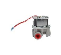 Akozon Vanne de Commande de Chauffe-eau à Gaz RV, Remplacement Efficace et Haute Performance pour Port fileté Atwood de 6 à 10 Gallons