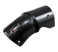 Akrapovic Ref:p-hsb10r1 Carbon Heat Shield Argenté